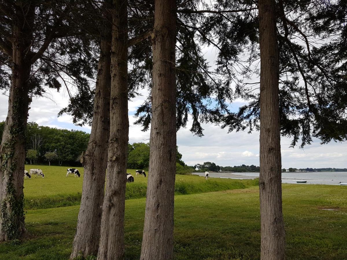 L'Arbre Voyageur Hotell Locoal-Mendon Exteriör bild